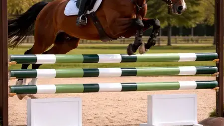 barre CSO à Île-de-France - image 2