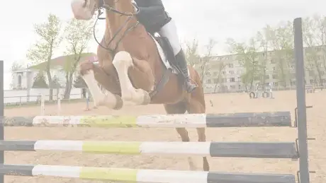 barre CSO à Île-de-France - image 3