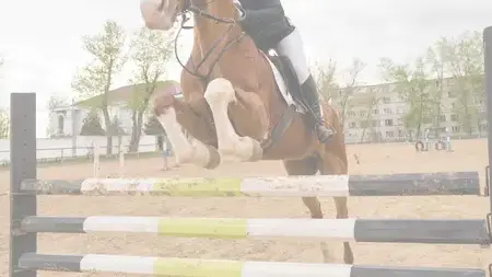 barre CSO Mayenne-1