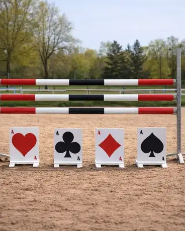 barre CSO à Pays de la Loire - image 2