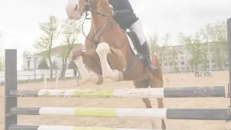 barre CSO à Pays de la Loire - image 3