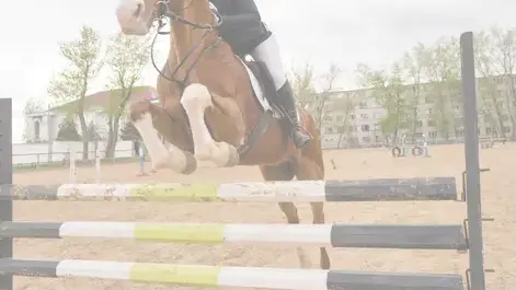 chandelier d'équitation à Pays de la Loire - image 3