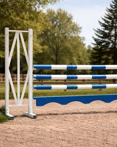 lice de dressage Centre-Val de Loire-1