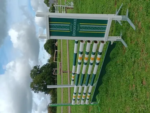 obstacle d'équitation à Centre-Val de Loire - image 3