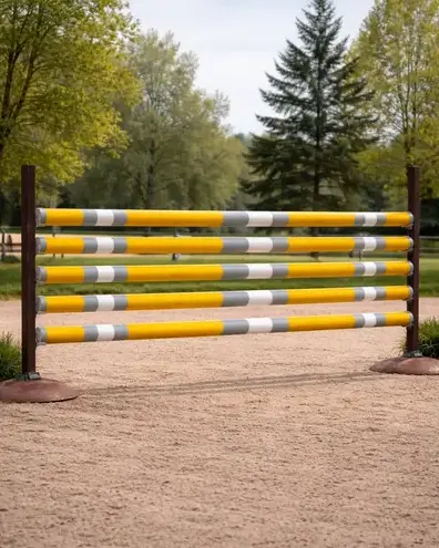 obstacle d'équitation à Centre-Val de Loire - image 4