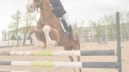 obstacle d'équitation Île-de-France-1