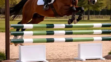 obstacle d'équitation à Île-de-France - image 2