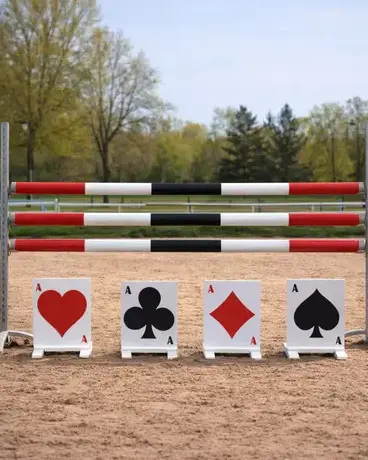 obstacle d'équitation à Île-de-France - image 3