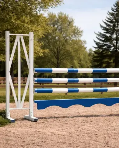 obstacle d'équitation à Île-de-France - image 4